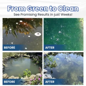 ✨ From Green to Clean Overnight! |⏱️ Crystal Clear in 24 Hours! | Nexisify™ Water-Purifier Pro Formula