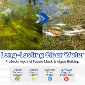 ✨ From Green to Clean Overnight! |⏱️ Crystal Clear in 24 Hours! | Nexisify™ Water-Purifier Pro Formula